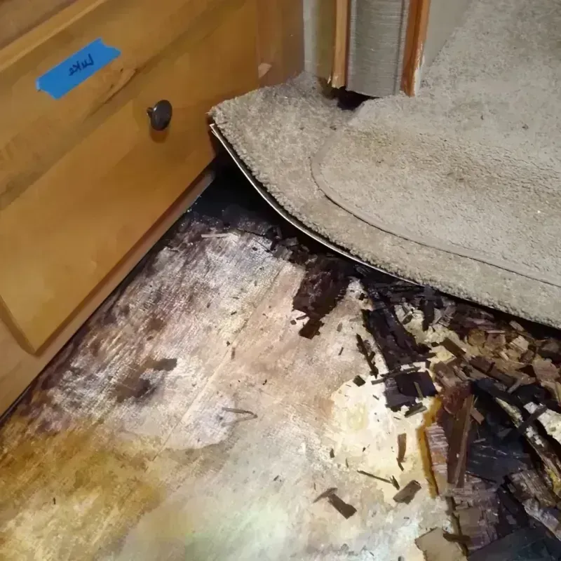 Wood Floor Water Damage in Beulah, MI